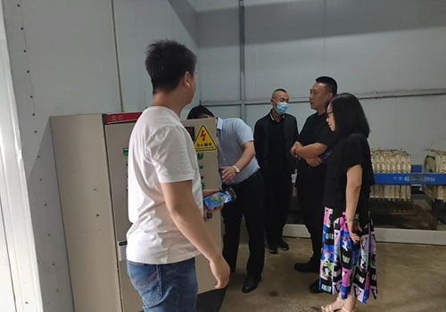 ibet·(集团)有限公司官网